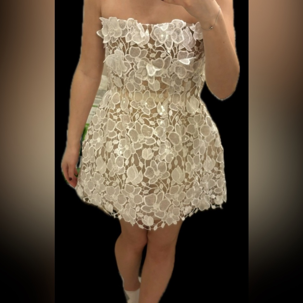 Retrofete Alira Sequin Lace Strapless
Mini Dress - Picture 9 of 9